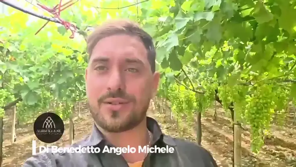 Fotogramma della testimonianza di Angelo Michele Di Benedetto, Agrimaggiore